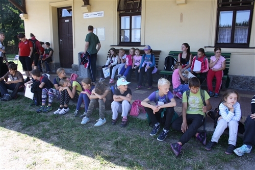 Obrázek v galerii
